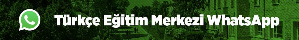 IZUTEM_Whatsapp_TR IZUTEM_Whatsapp_TR