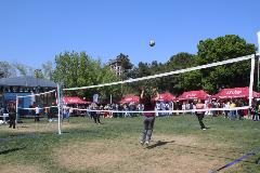Voleybol